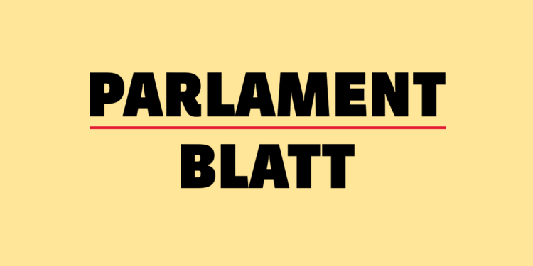Effizienz – Notizen-Parlament Nr.1