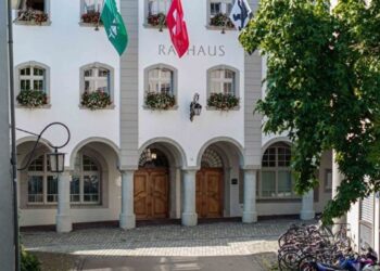 Baum fällt – Baum fällt doch noch nicht